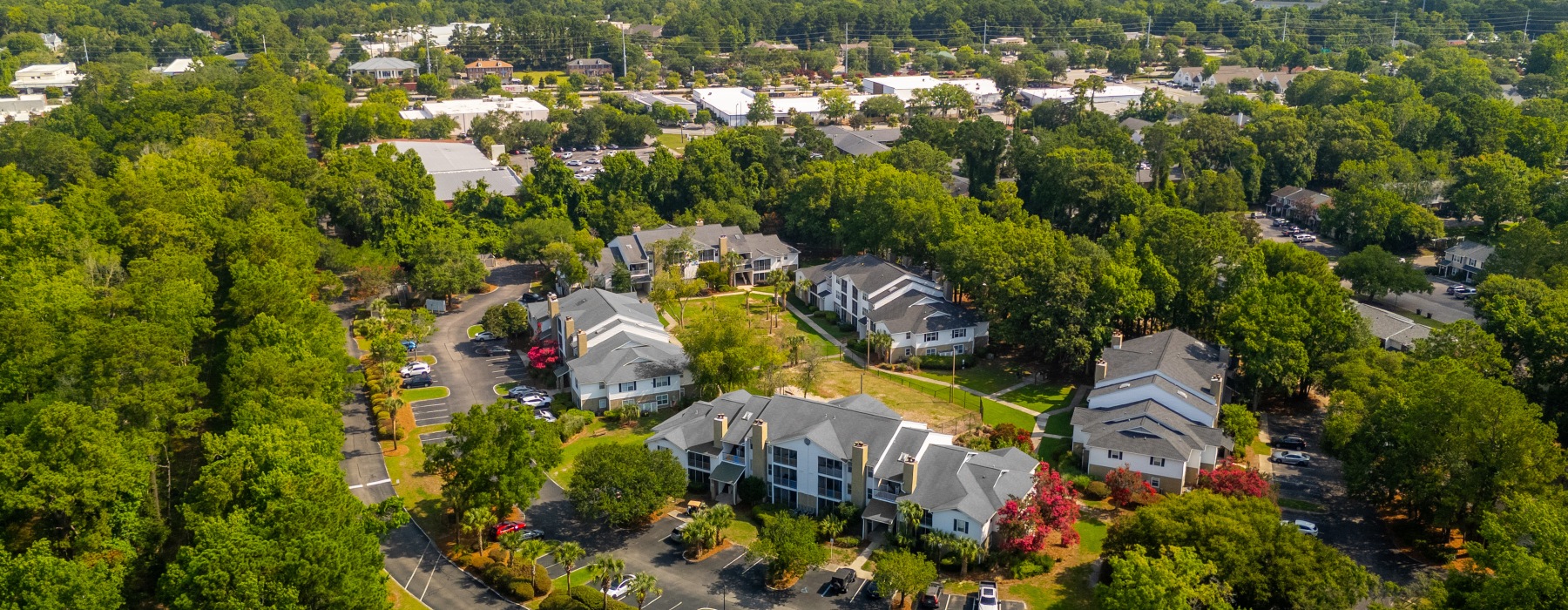 Bird's eye view of the community